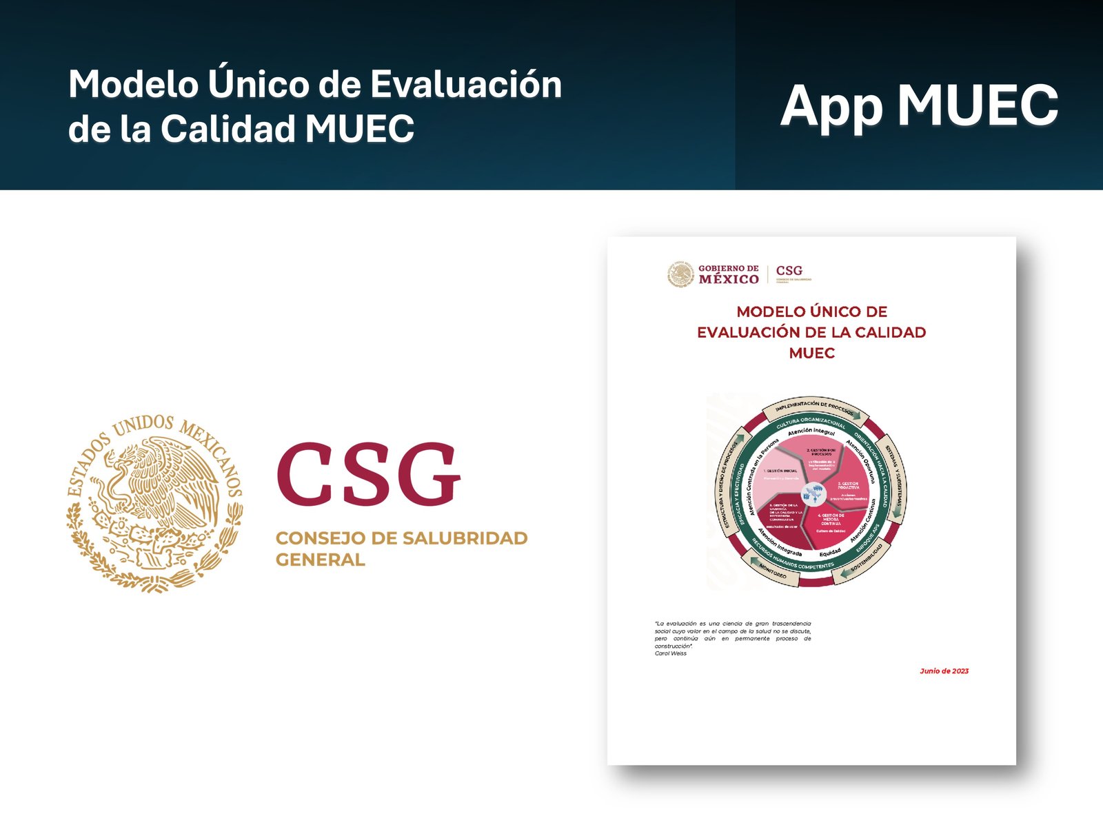 Proyecto 1